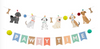 Puppy Party Box