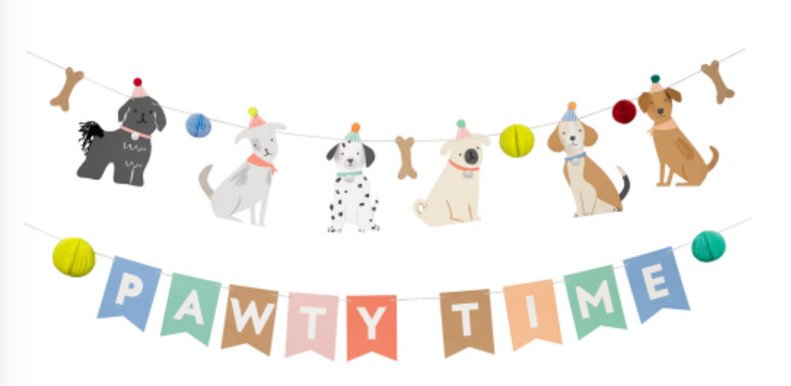 Puppy Party Box