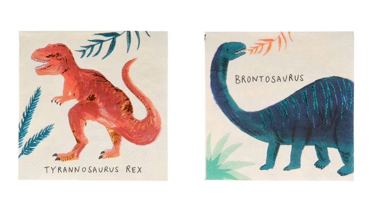Dinosaur Party Box