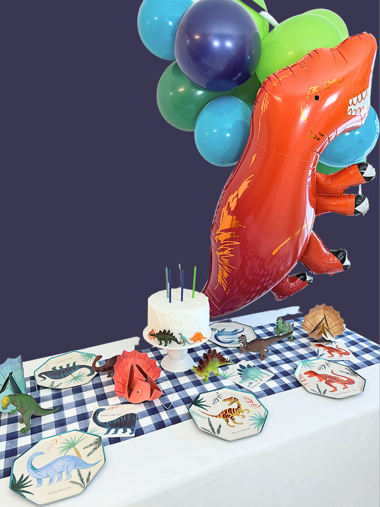 Dinosaur Party Box