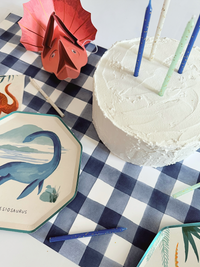 Dinosaur Party Box