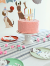 Puppy Party Box